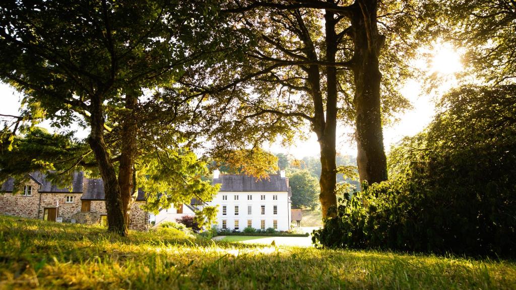 Grove of Narberth Wellness Narberth Garden