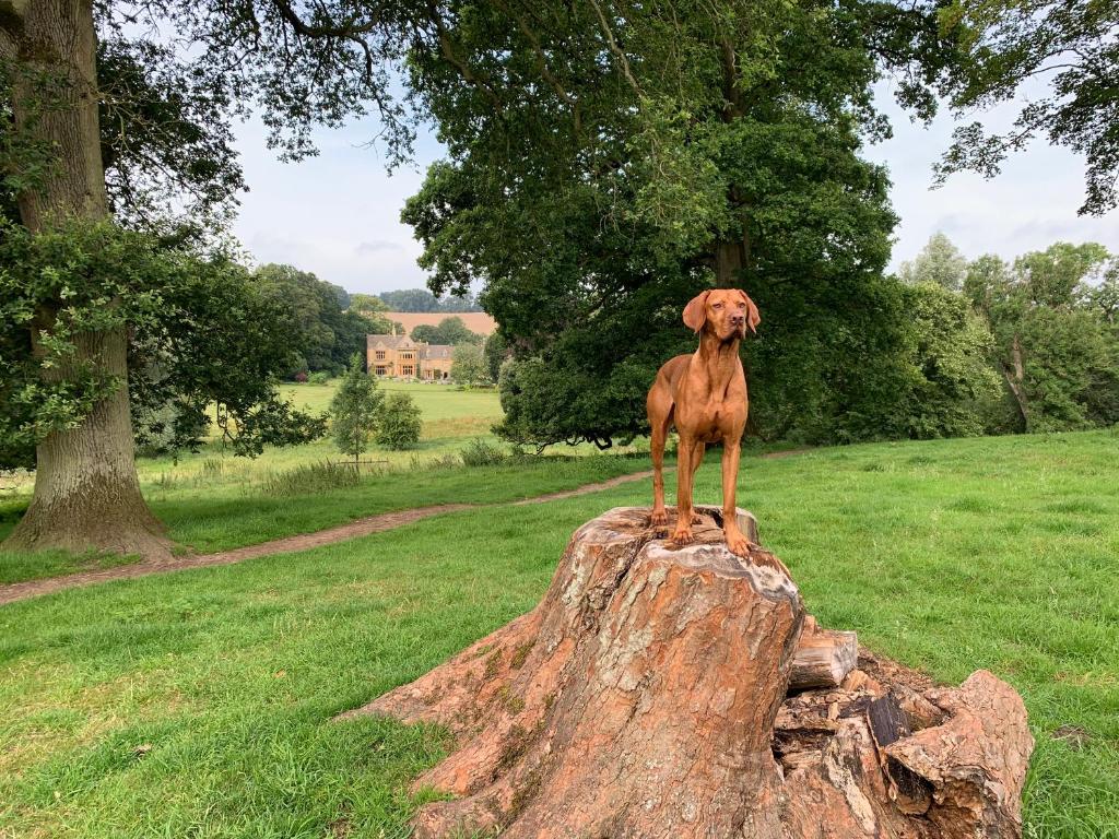 Lords Of The Manor Wellness Hotel Upper Slaughter Outdoor